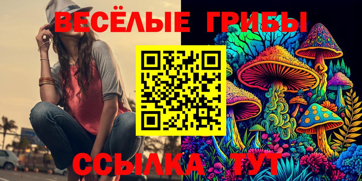 Галлюциногенные грибы MAGIC MUSHROOMS  Вход с VPN  Ступино 